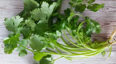 garnishing-instructions-image